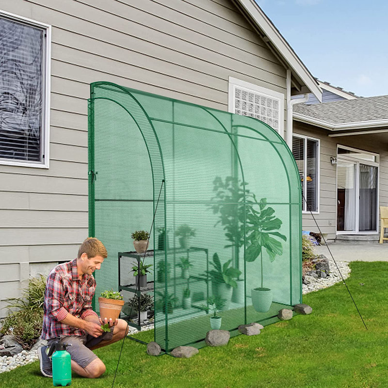 Annalyss 7 Ft W x 3 Ft D Greenhouse