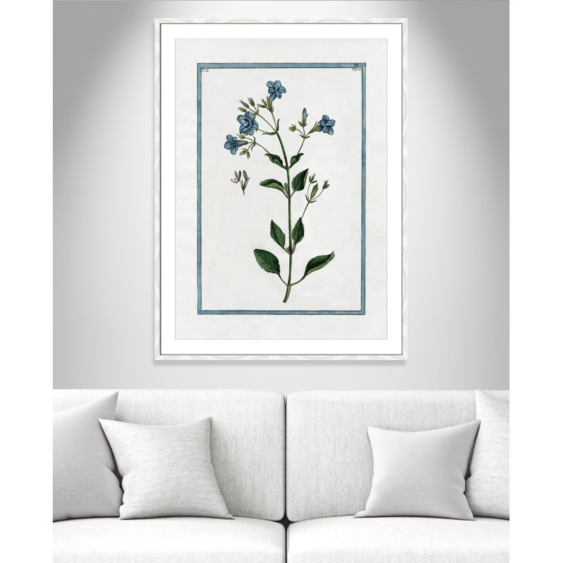 Colombe Shabby Elegance Botanical II - Art encadré, L 29,5 po x H 41,5 po, Cadre blanc