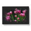 Pink Tulip Flowers - Wrapped Canvas Print-61883020