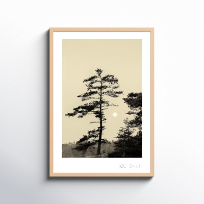 Garden Sign "Serenity" Print by Peter Dušek