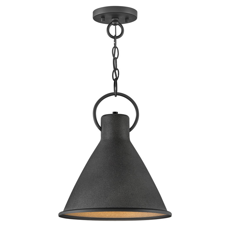 Luminaire suspendu conique à 1 lumière Dax, Zinc vieilli, H 15,5 po x l 12,25 po x P 12,25 po