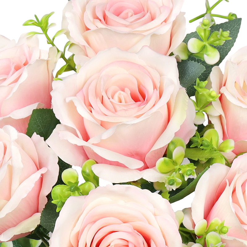 Roses, buissons, Rosé
