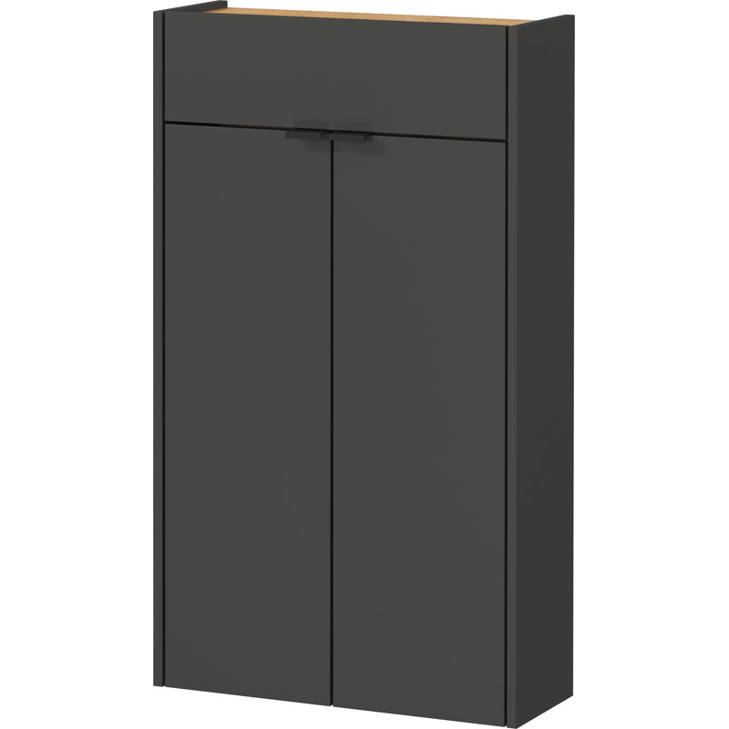 Soza 10 Pair Shoe Storage Cabinet, Graphite