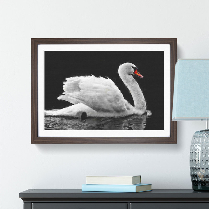 White Swan Swimming - Picture Frame Painting Print, Walnut Framed, 45cm H x 63cm W x 2cm D