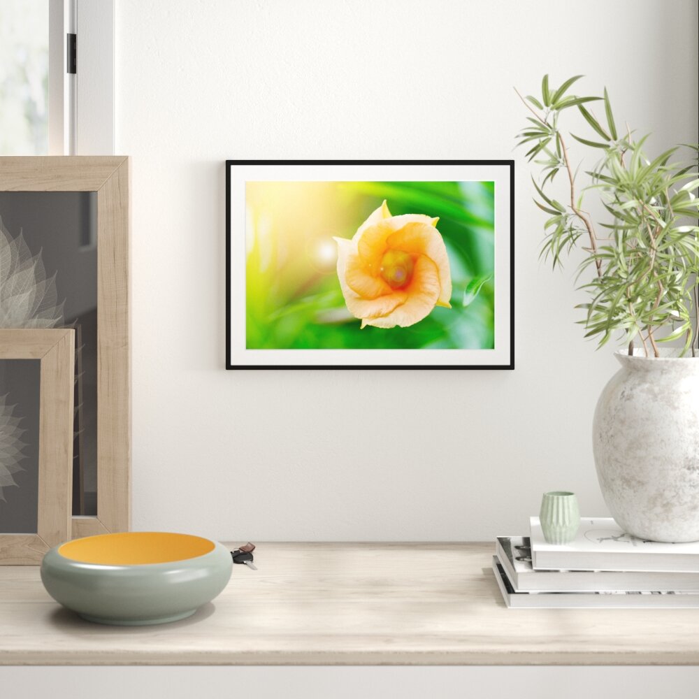 Gerahmtes Poster Orange Blume im Sonnenlicht