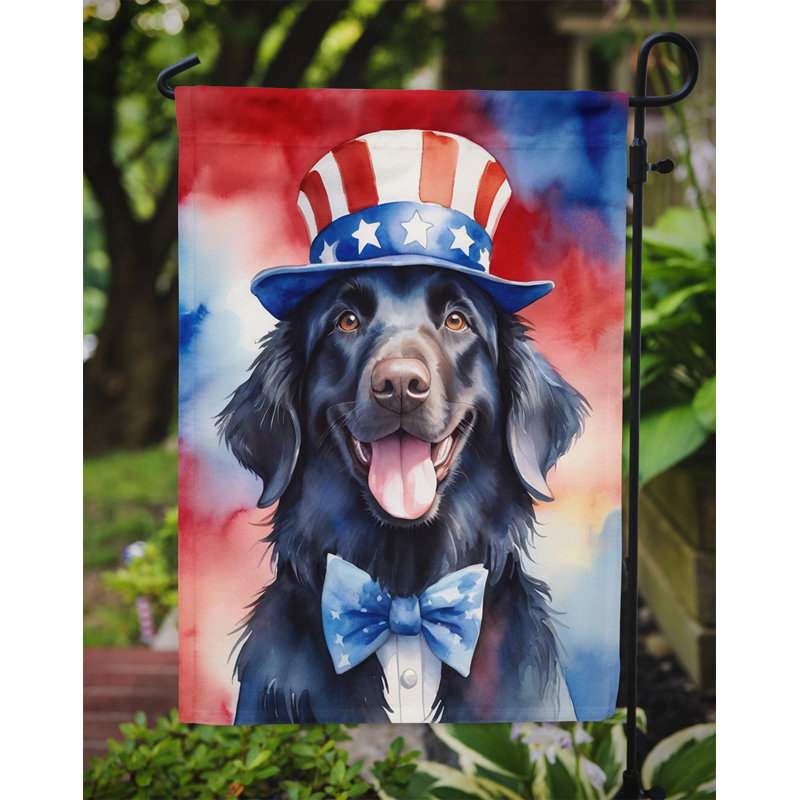 Drapeau patriotique du jardin américain, Retriever à poil plat