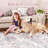Washable Area Rug for Living Room Vintage Floral Boho Rugs for Bedroom Dining Room-964174314