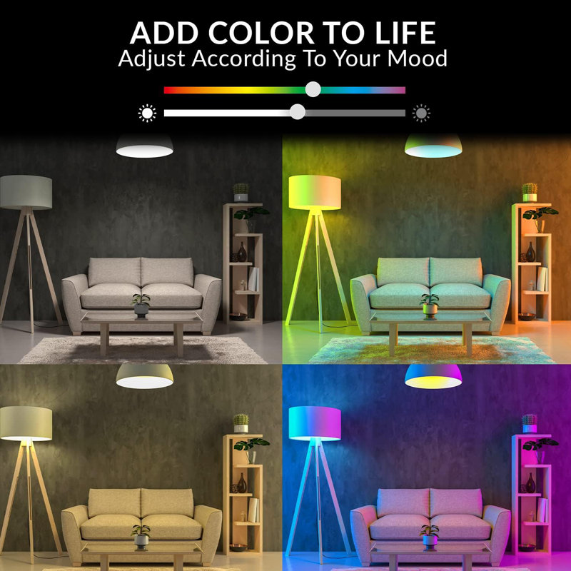 WBM Smart 60 Watt Equivalent A19 E26 (Standard) Dimmable 2700K Bulb (Set of 2)