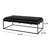 Upholstered Velvet , Black With Modern Brass Finish - Minimalist Look, Metal Frame, 25 In Width, 16 Height Bench Style, Height, Width