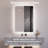 Kerria 20'' W 28 H'' Surface Mount LED Medicine Cabinet Lighting Mirror with 2 Adjustable Shelves
