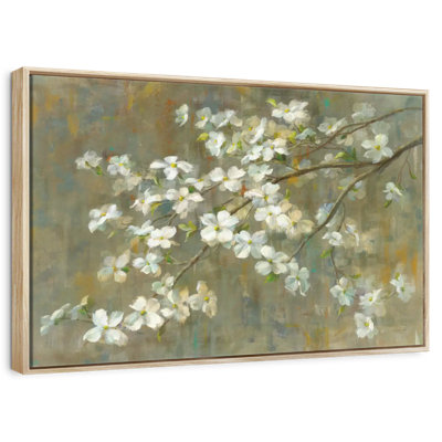 Dogwood In Spring
