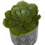Feuillage artificiel en plastique Cole & Grey