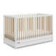 Teddi 5-in-1 Convertible Crib with Storage