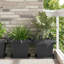 Plant Stand-44664427-44664426
