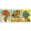 3 Piece Wrapped Canvas Print-167747540