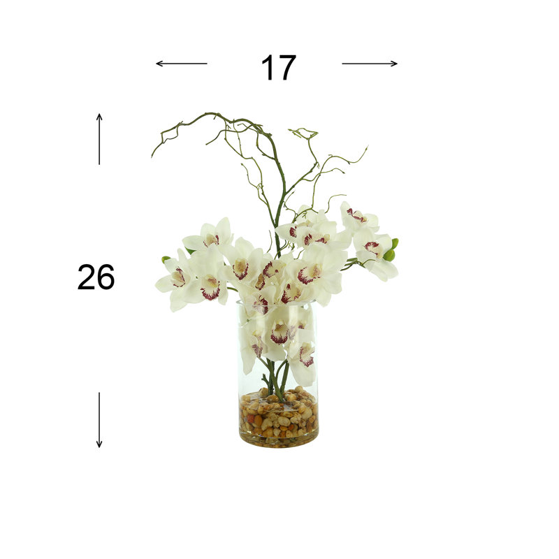 Orchid Arrangement in Glass Vase with Rocks, White