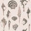 Papier peint Sullivan’s Island Shells par Megan Molten-112732718-112732717