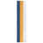 Navy/Gold/White