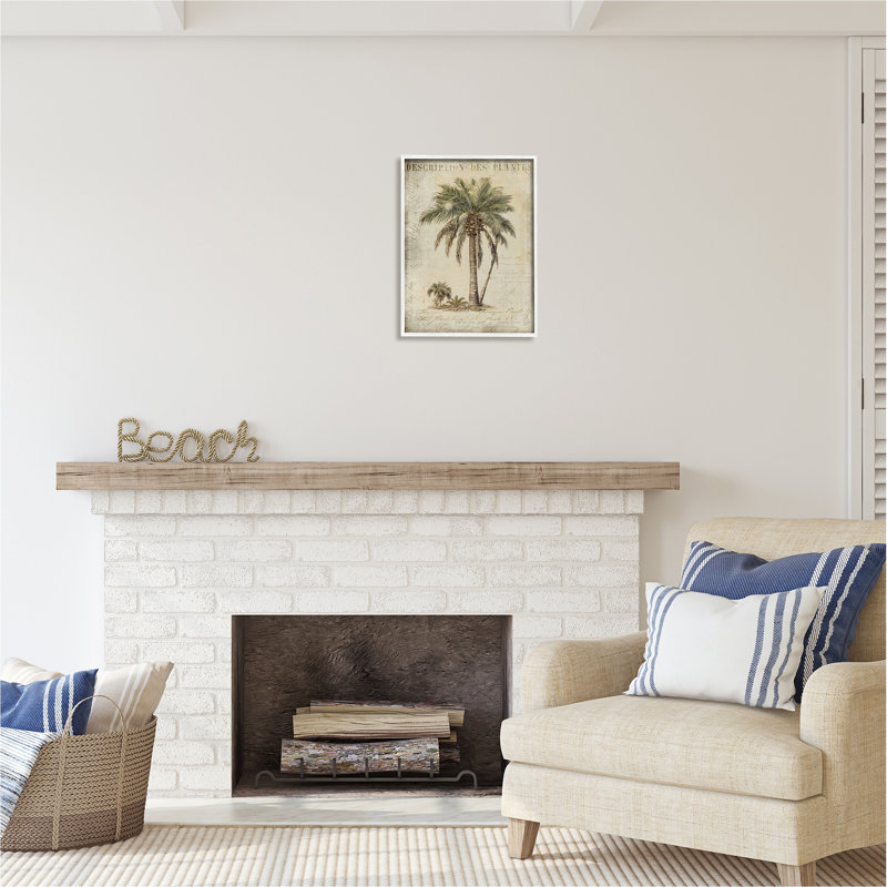 Vintage Palm Tree Study Botanical Canvas Print with White Frame, 16 x 20