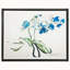 Orchid Print by Robert Robinson
