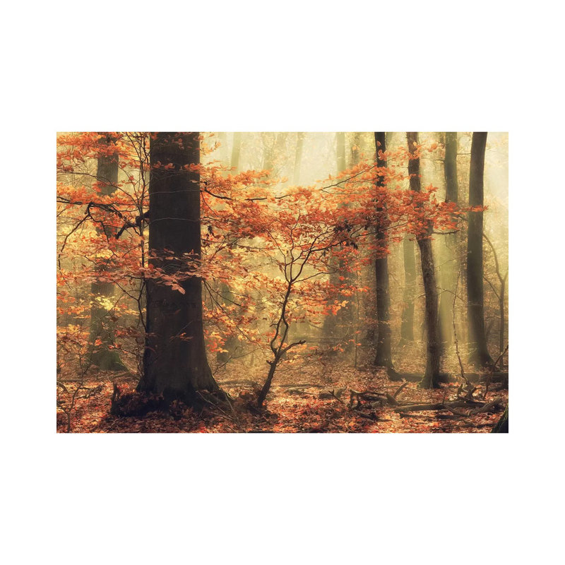 Soft Fall by Anton Van Dongen - Wrapped Canvas Print, 66.04 cm H x 45.72 cm W x 3.175 cm D