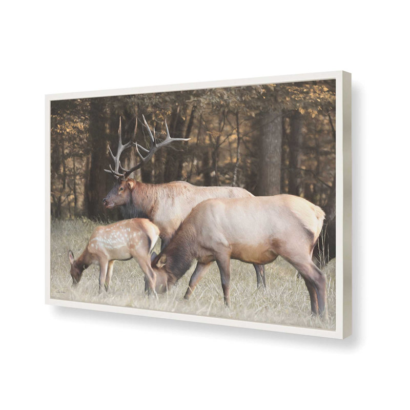 «Family of Elks» par Lori Deiter, reproduction d'art, L 24 po x H 18 po, Impression encadrée, Blanc