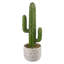 Plante grasse artificielle en pot 11,5 po