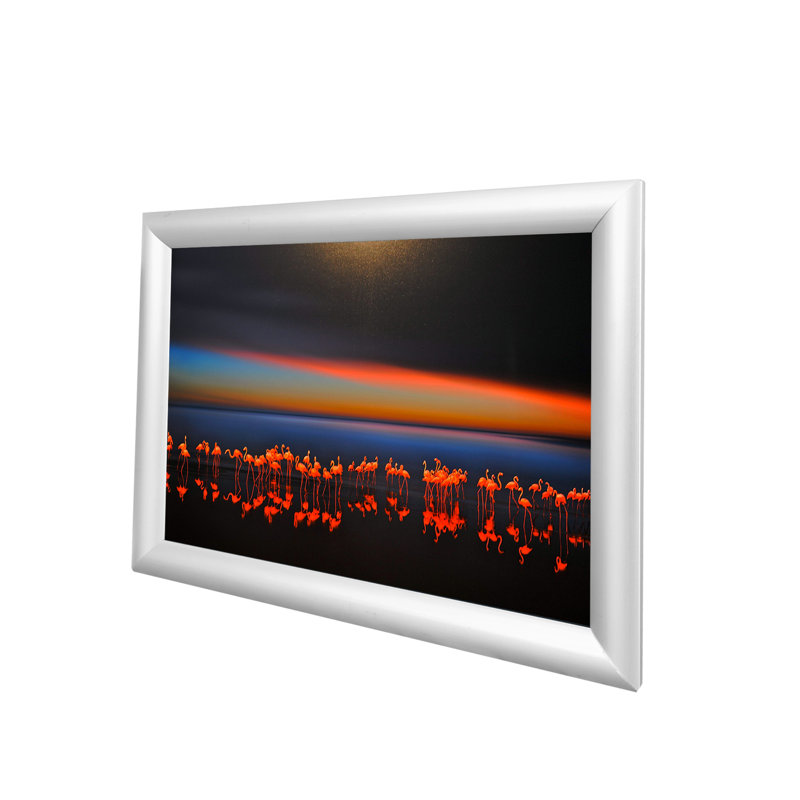 Viewable Area:15.7 x 22.6" Frame, Wall or Poll Mount Poster/Picture Snap Silver