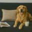 Coussin texturé Homey COSY