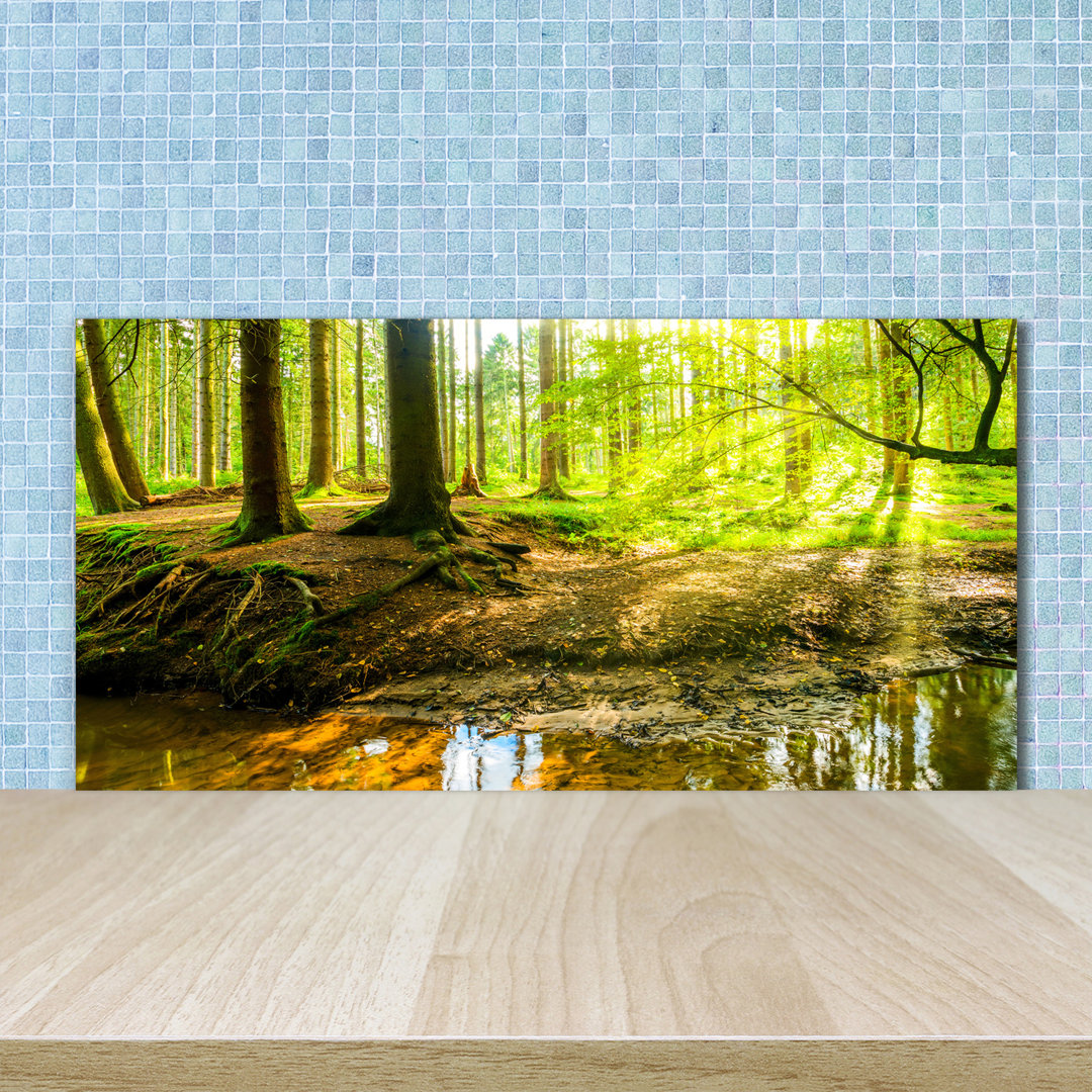 50cm x 100cm Glass Panel
