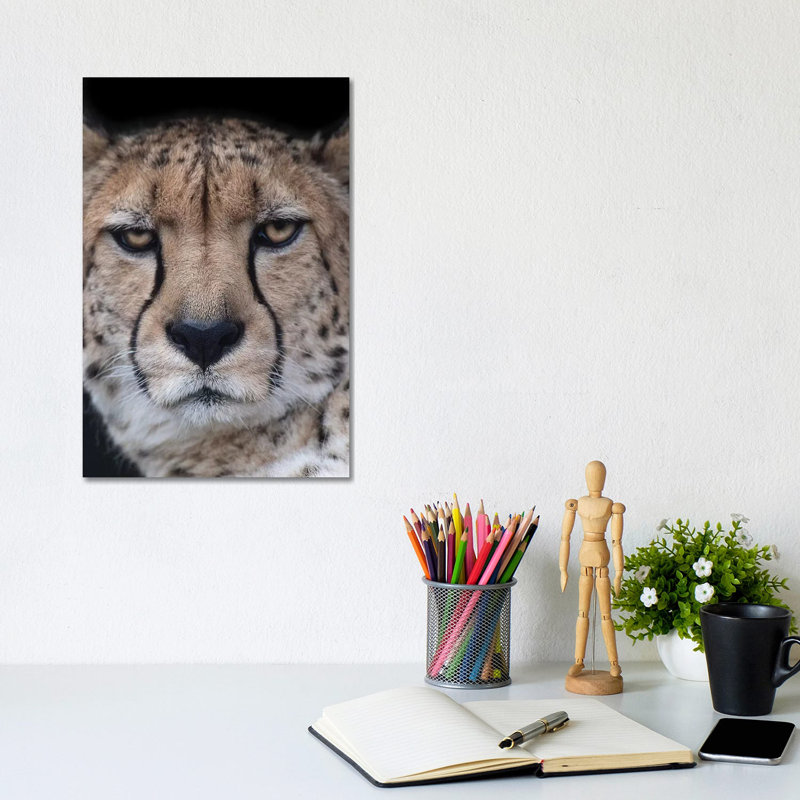Face Of An Athlete by David Whelan - Wrapped Canvas Gallery-Wrapped Canvas Giclée, 20.32 cm H x 30.48 cm W