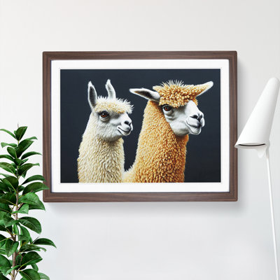 Enthralling Llamas - Single Picture Frame Print