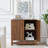 2-Door Accent Cabinet (31.5" W)-1742725958
