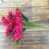 Rose Red