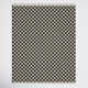 Habra Checkered Recycled Black / Ivory Rug