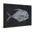 Pompano 1 Piece Wrapped Canvas Painting-19085342