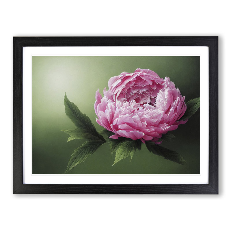 Masterful Peony Flower 1 Piece Single Picture Frame Painting, 34cm H x 46cm W x 2cm D, Black