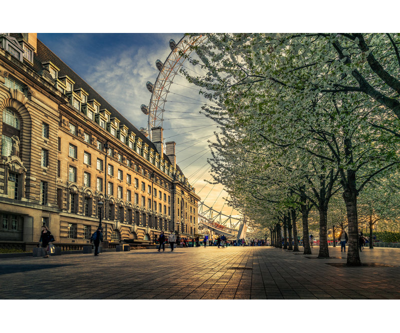 Wrapped Canvas Print