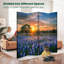 Cloison pliante à 4 panneaux Royal Texas Bluebonnet Field Sunrise-134512745-134512747