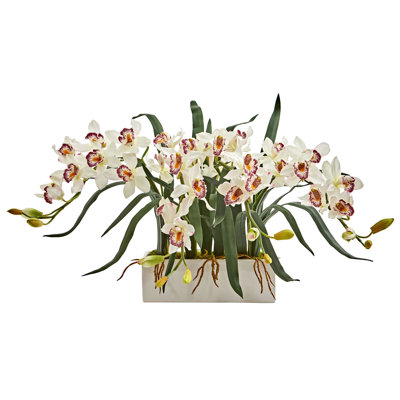 Orchid Arrangement in Vase