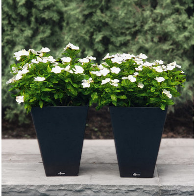 Cara Composite Pot Planter Set with Water Trays
