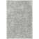 Tapis cendre Ash