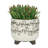 S/2 Ceramic 6/8" Scribble Footed Planter