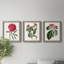 Ensemble de 3 peintures sur toile Roseat Blooms IV-1642987167-1642987166