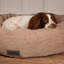 Polyester Pet Bed-75221193-75221201