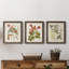 «Vintage Flowering Trees V», ensemble de 3 cadres photo sur toile-323789574-323789573