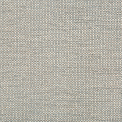 Guaranteed in Stock Fabric