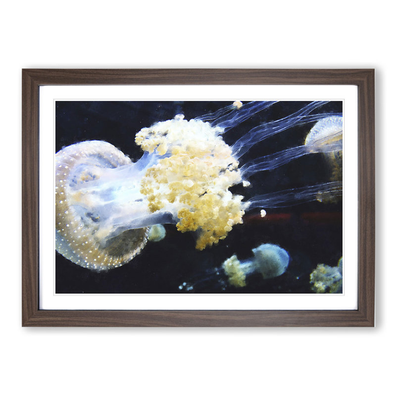 Jellyfish Vol.3 - Picture Frame Painting, Walnut, 27cm H x 36cm W x 2cm D