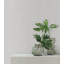 Su Tela Wallpaper-1526437030
