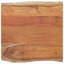 Alpen Home Table Top Rectangular Solid Wood-1008352794-1008352796